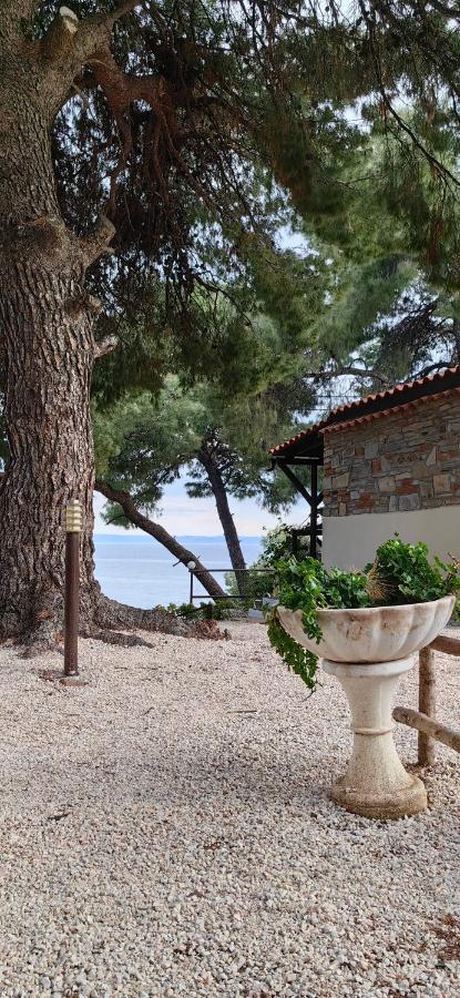 Grandmas Paradise Villa Psakoudia Bagian luar foto
